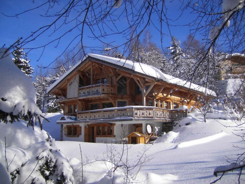 3 ROOMS 5 PEOPLE : WIFI AND GOOD EQUIPMENT ON THE GROUND FLOOR OF THE CHALET