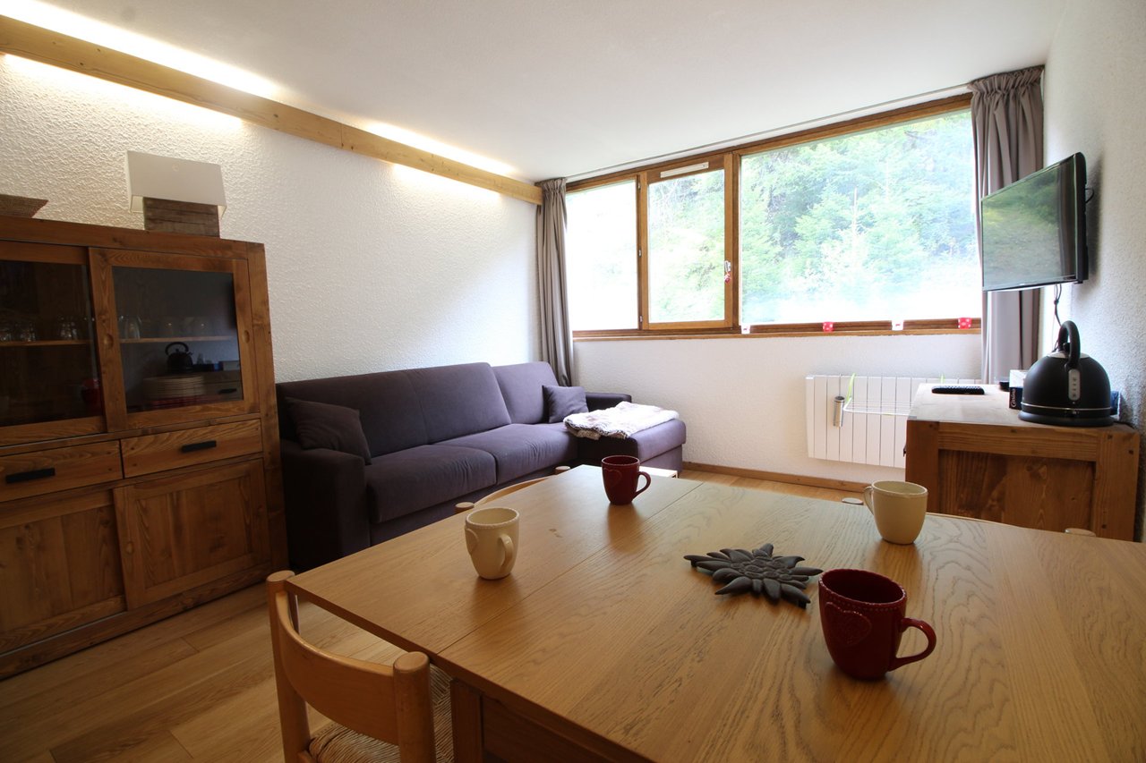 STUDIO Coin Montagne pour 4 personnes - Résidence ANDROMEDE 
